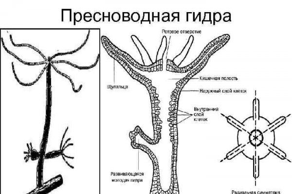 Кракен сайт зеркало рабочее на сегодня