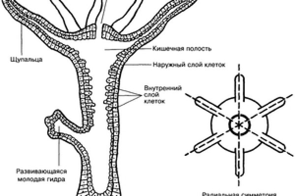 Кракен ссылка в тор